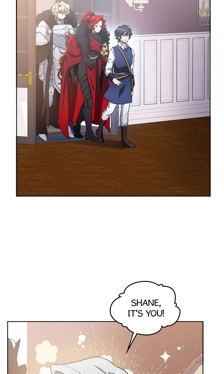 Choose Your Heroes Carefully [Official] - Chapter 65 manhwa