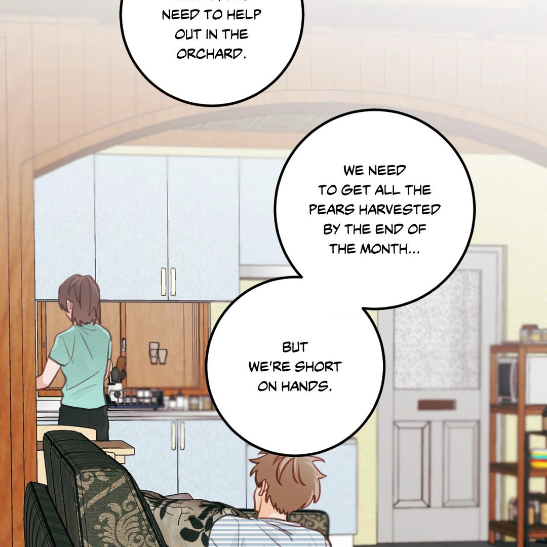 When Pear Blossoms Bloom - Chapter 14 manhwa