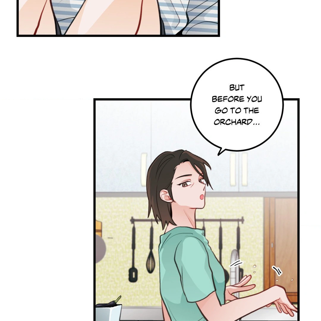 When Pear Blossoms Bloom - Chapter 14 manhwa