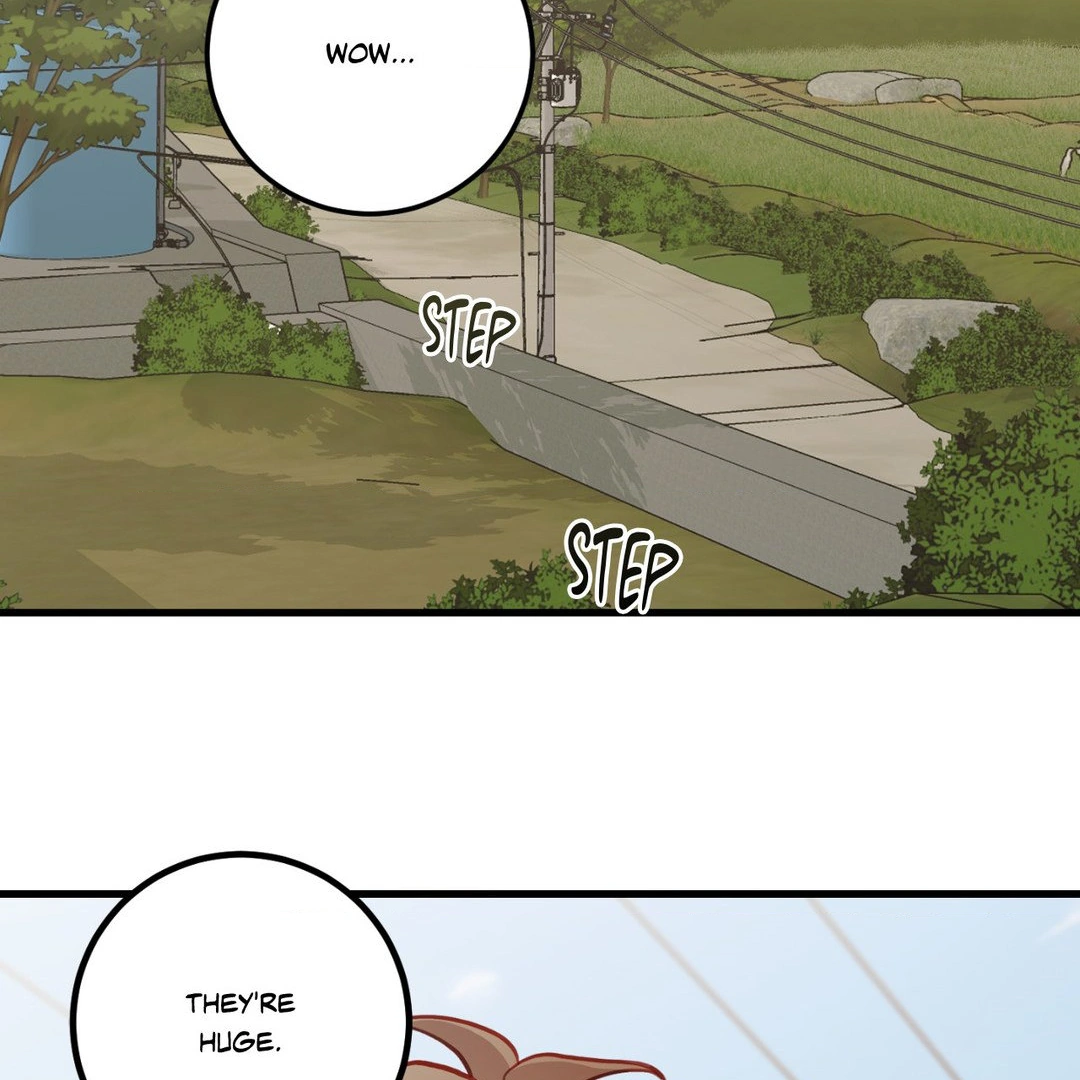 When Pear Blossoms Bloom - Chapter 14 manhwa