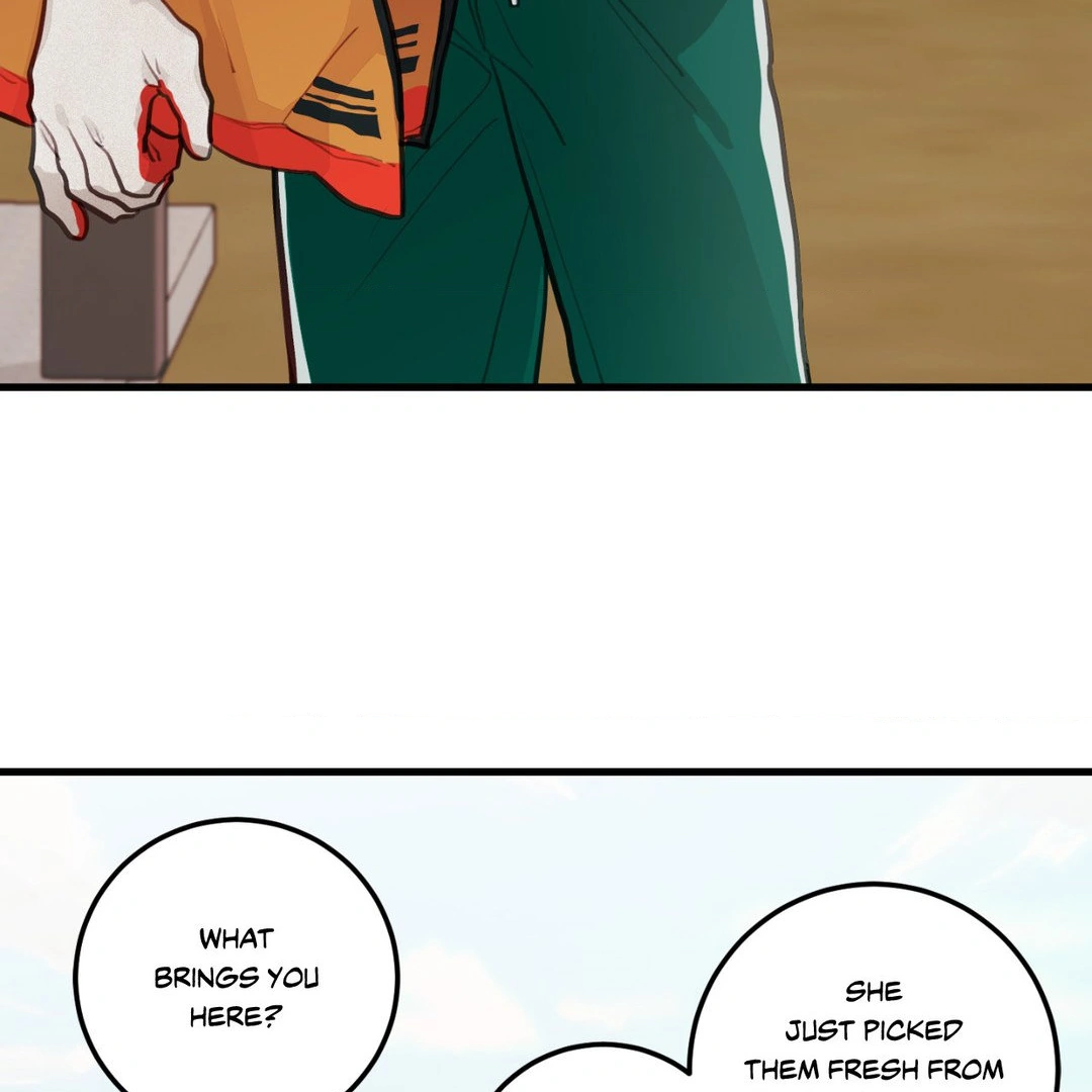 When Pear Blossoms Bloom - Chapter 14 manhwa