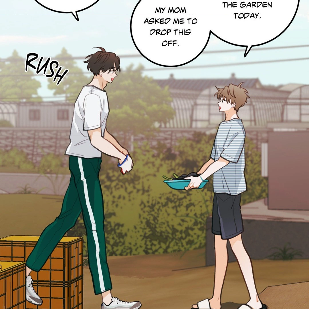 When Pear Blossoms Bloom - Chapter 14 manhwa