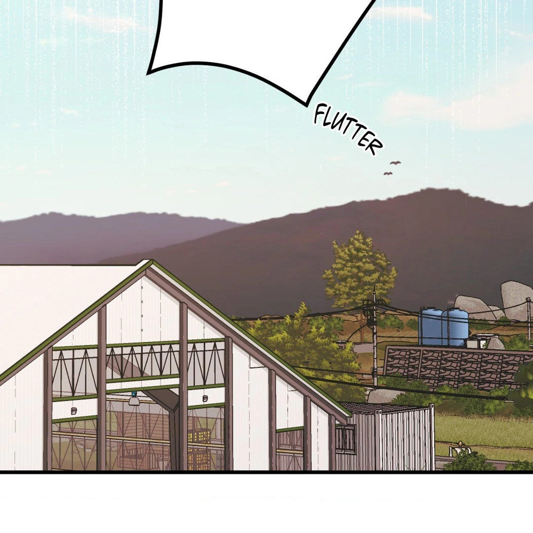 When Pear Blossoms Bloom - Chapter 15 manhwa