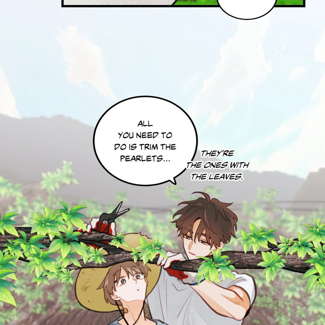 When Pear Blossoms Bloom - Chapter 16 manhwa