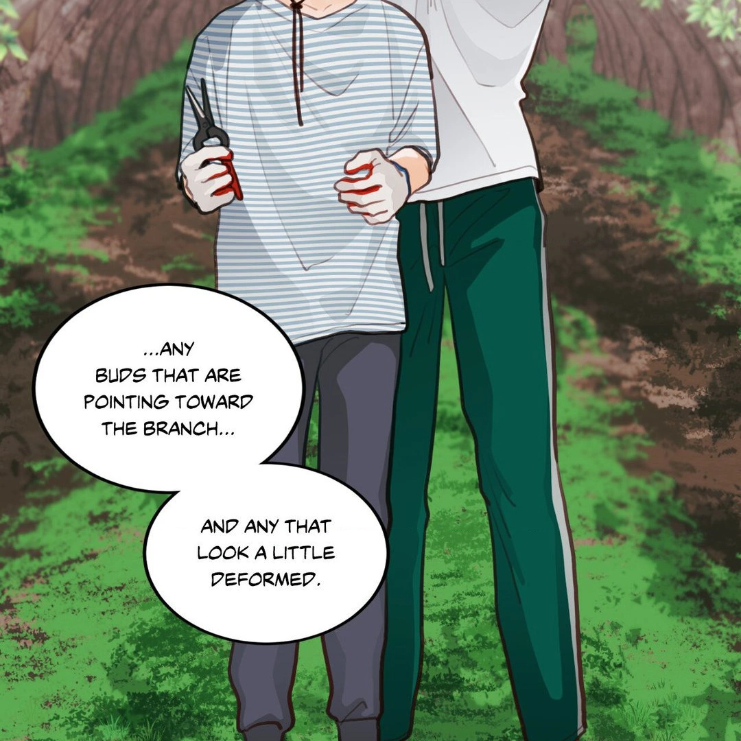 When Pear Blossoms Bloom - Chapter 16 manhwa