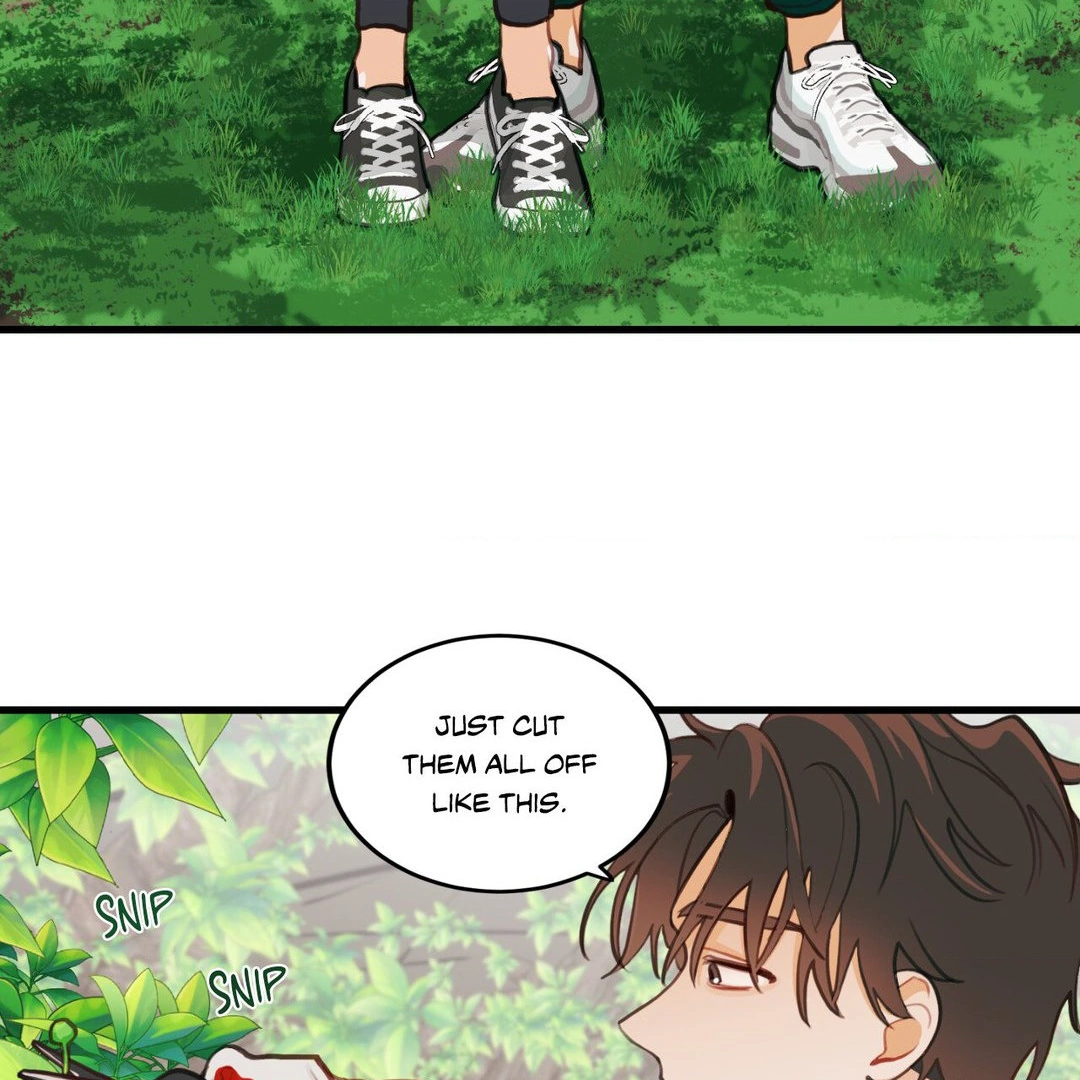 When Pear Blossoms Bloom - Chapter 16 manhwa