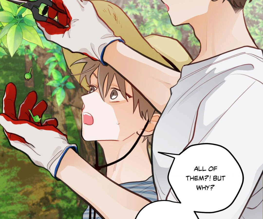 When Pear Blossoms Bloom - Chapter 16 manhwa