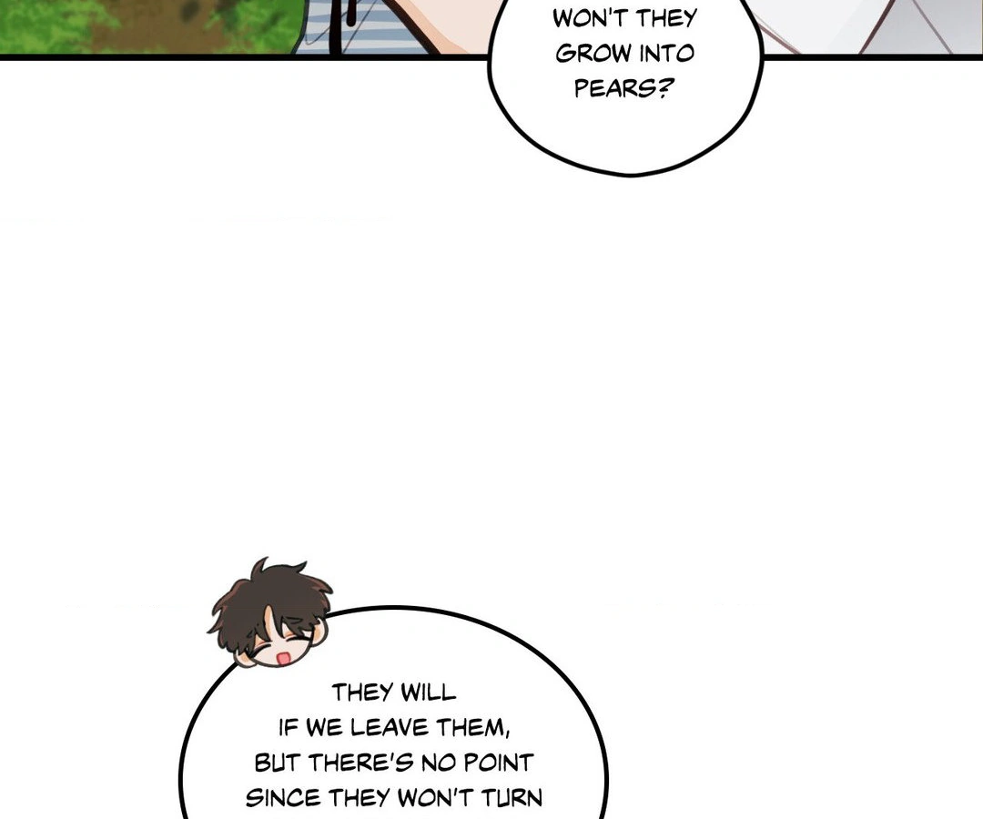 When Pear Blossoms Bloom - Chapter 16 manhwa