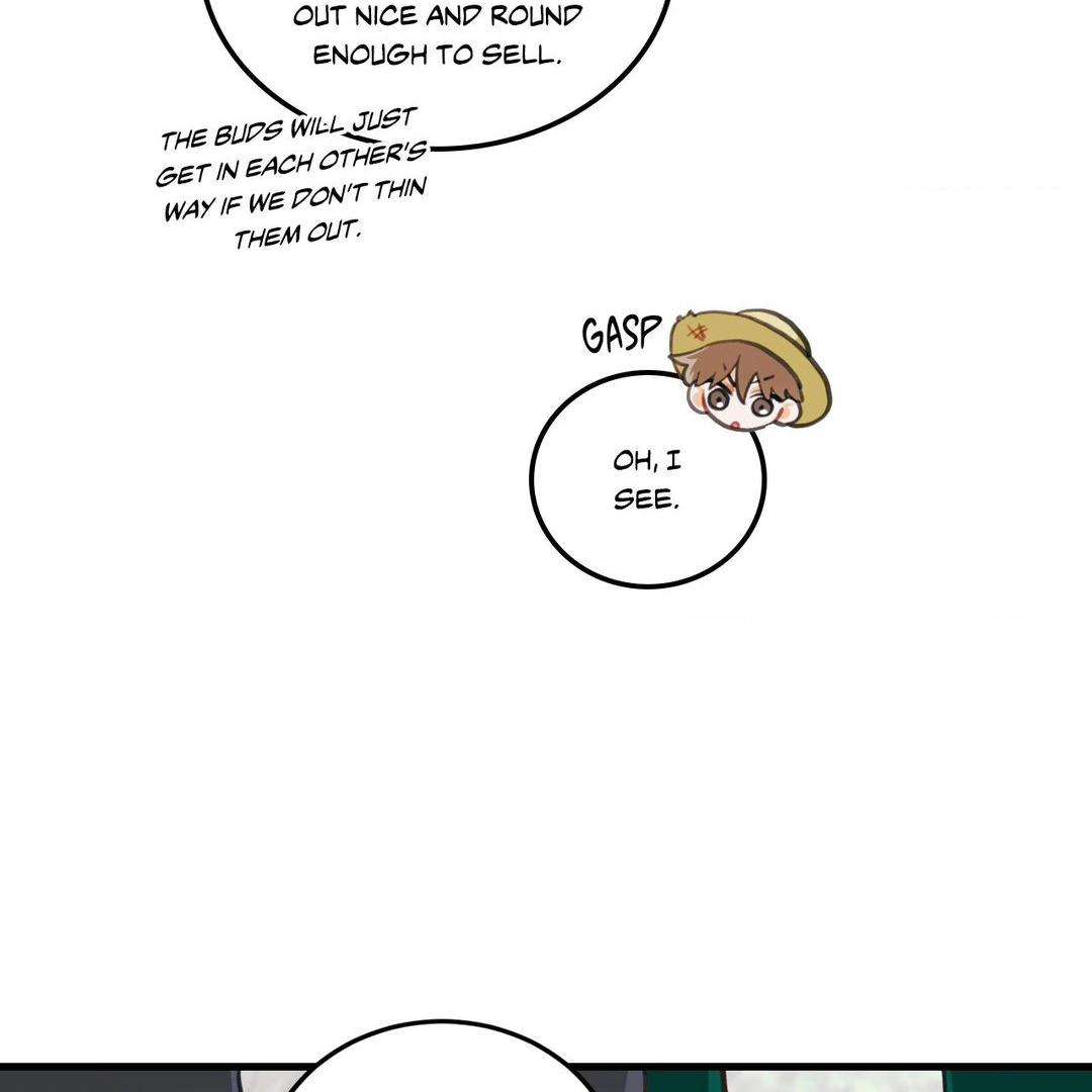 When Pear Blossoms Bloom - Chapter 16 manhwa