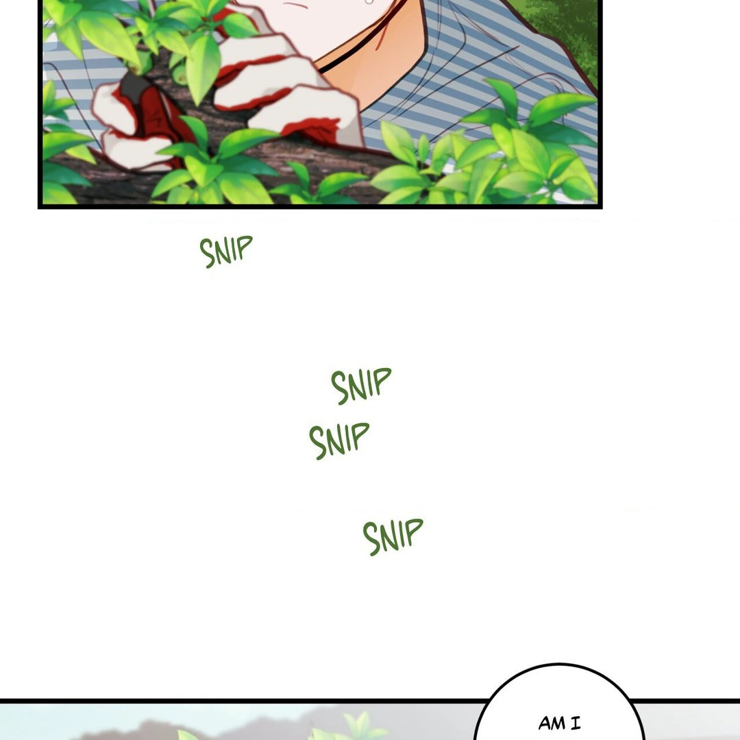 When Pear Blossoms Bloom - Chapter 16 manhwa