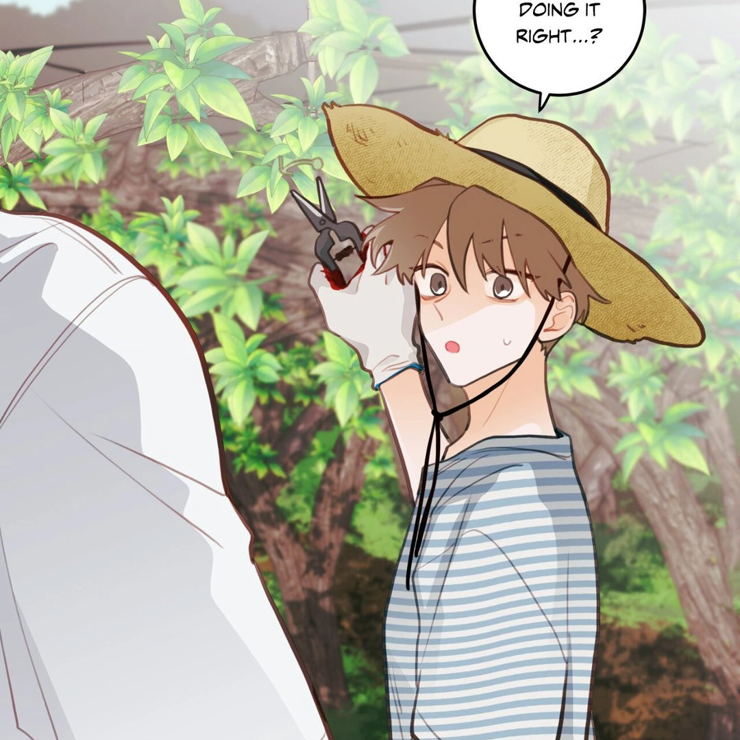When Pear Blossoms Bloom - Chapter 16 manhwa