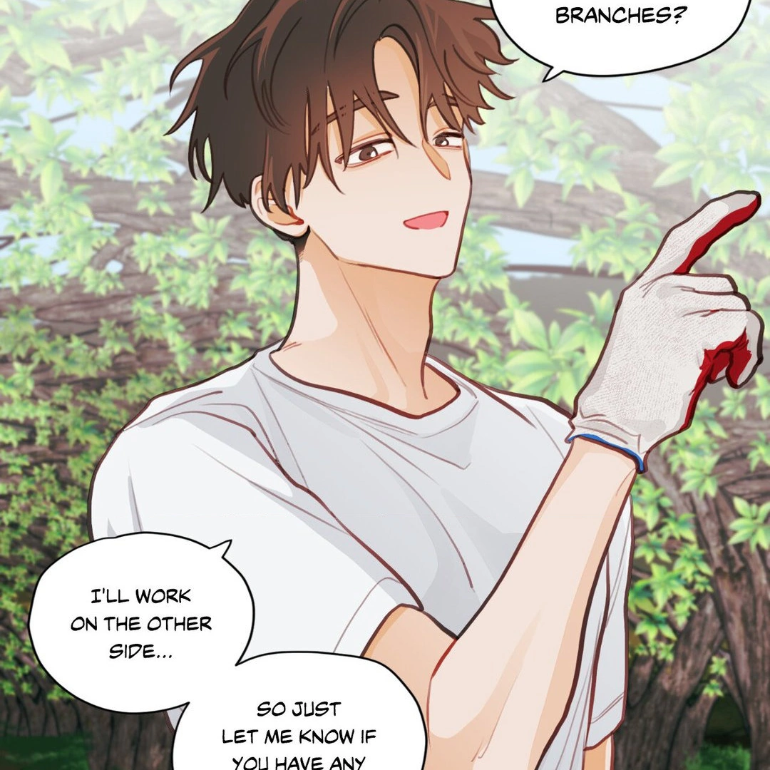 When Pear Blossoms Bloom - Chapter 16 manhwa