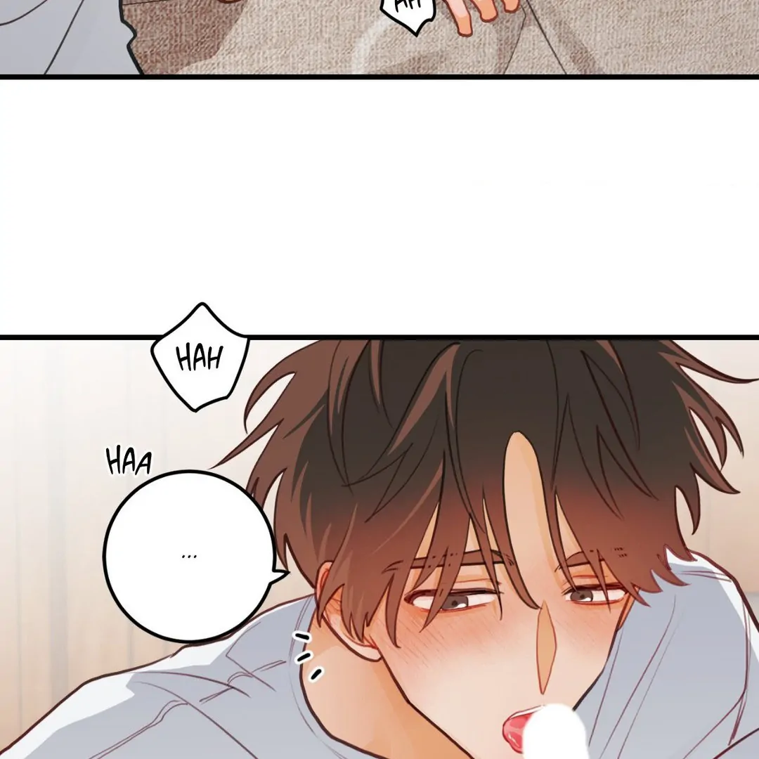 When Pear Blossoms Bloom - Chapter 19 manhwa