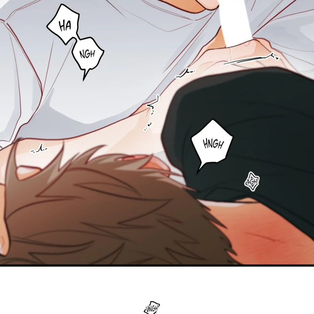 When Pear Blossoms Bloom - Chapter 19 manhwa