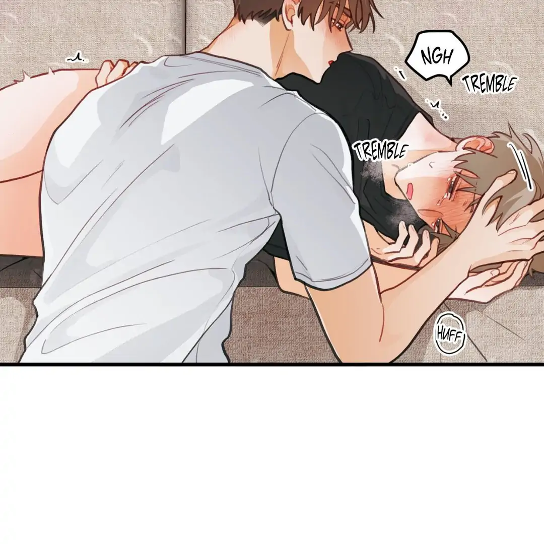 When Pear Blossoms Bloom - Chapter 19 manhwa