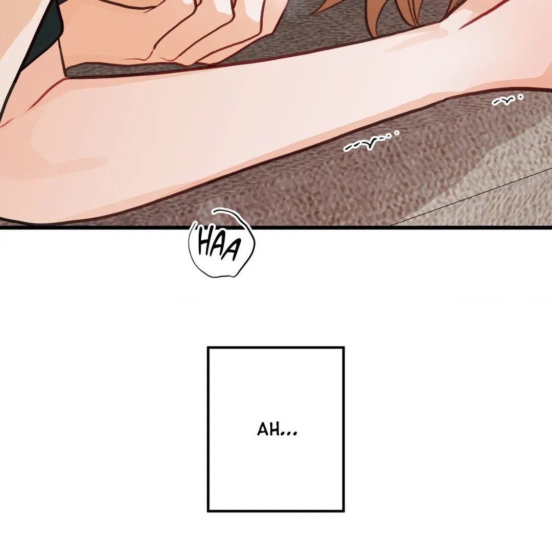 When Pear Blossoms Bloom - Chapter 19 manhwa