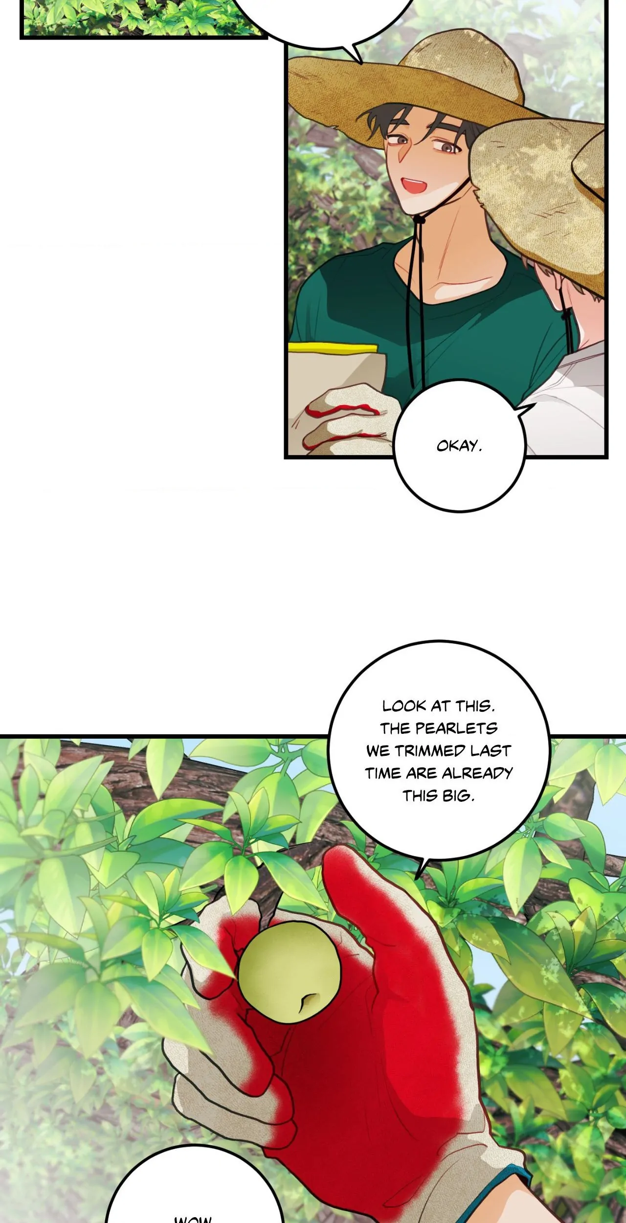 When Pear Blossoms Bloom - Chapter 35 manhwa