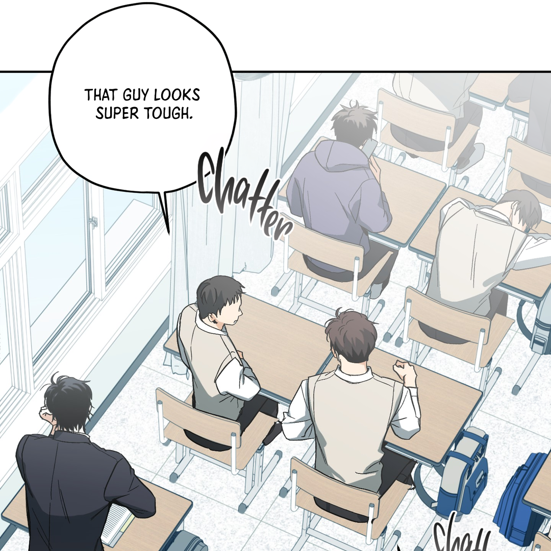 Tiger vs Tiger [Cupid Scans] - Chapter 1 manhwa