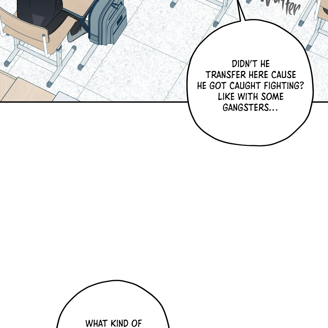 Tiger vs Tiger [Cupid Scans] - Chapter 1 manhwa