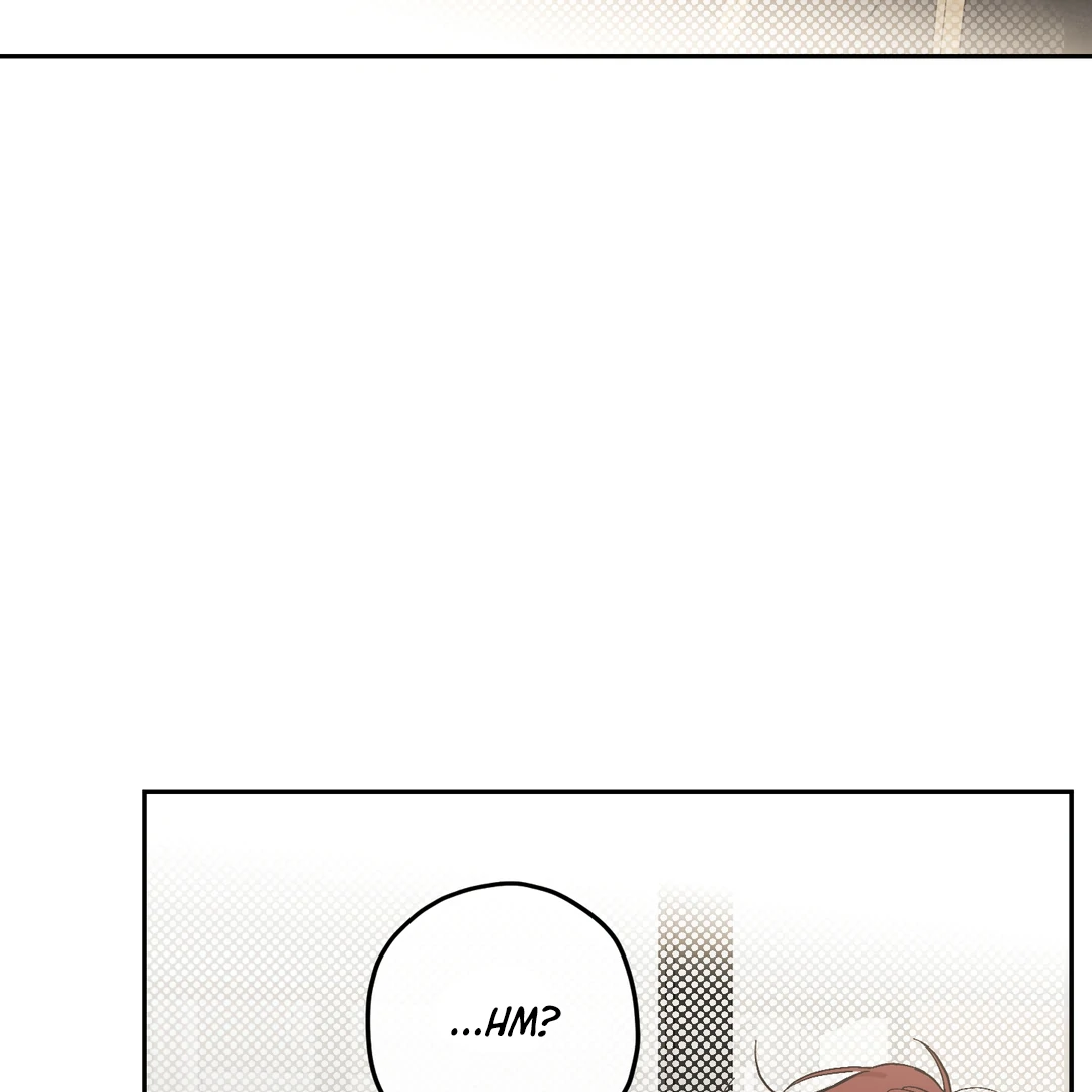 Tiger vs Tiger [Cupid Scans] - Chapter 10 manhwa