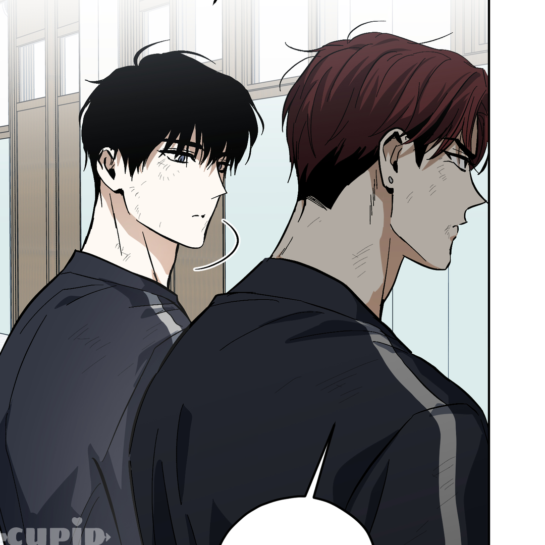 Tiger vs Tiger [Cupid Scans] - Chapter 6 manhwa