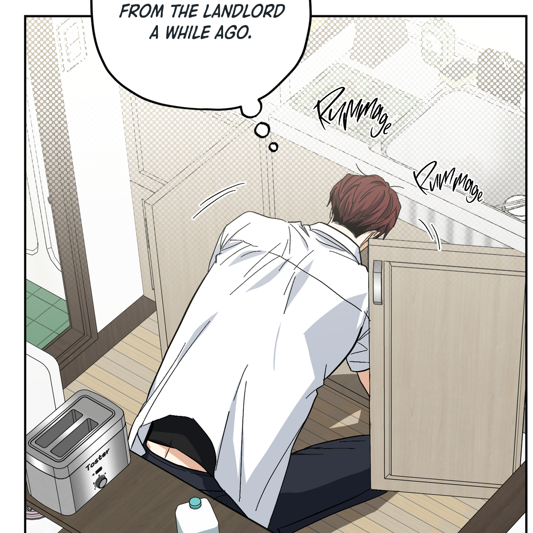 Tiger vs Tiger [Cupid Scans] - Chapter 8 manhwa