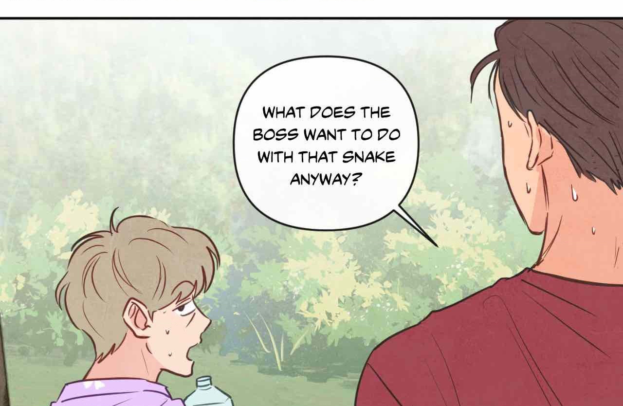 The Sacred Serpent’s Seduction [Official] - Chapter 14 manhwa