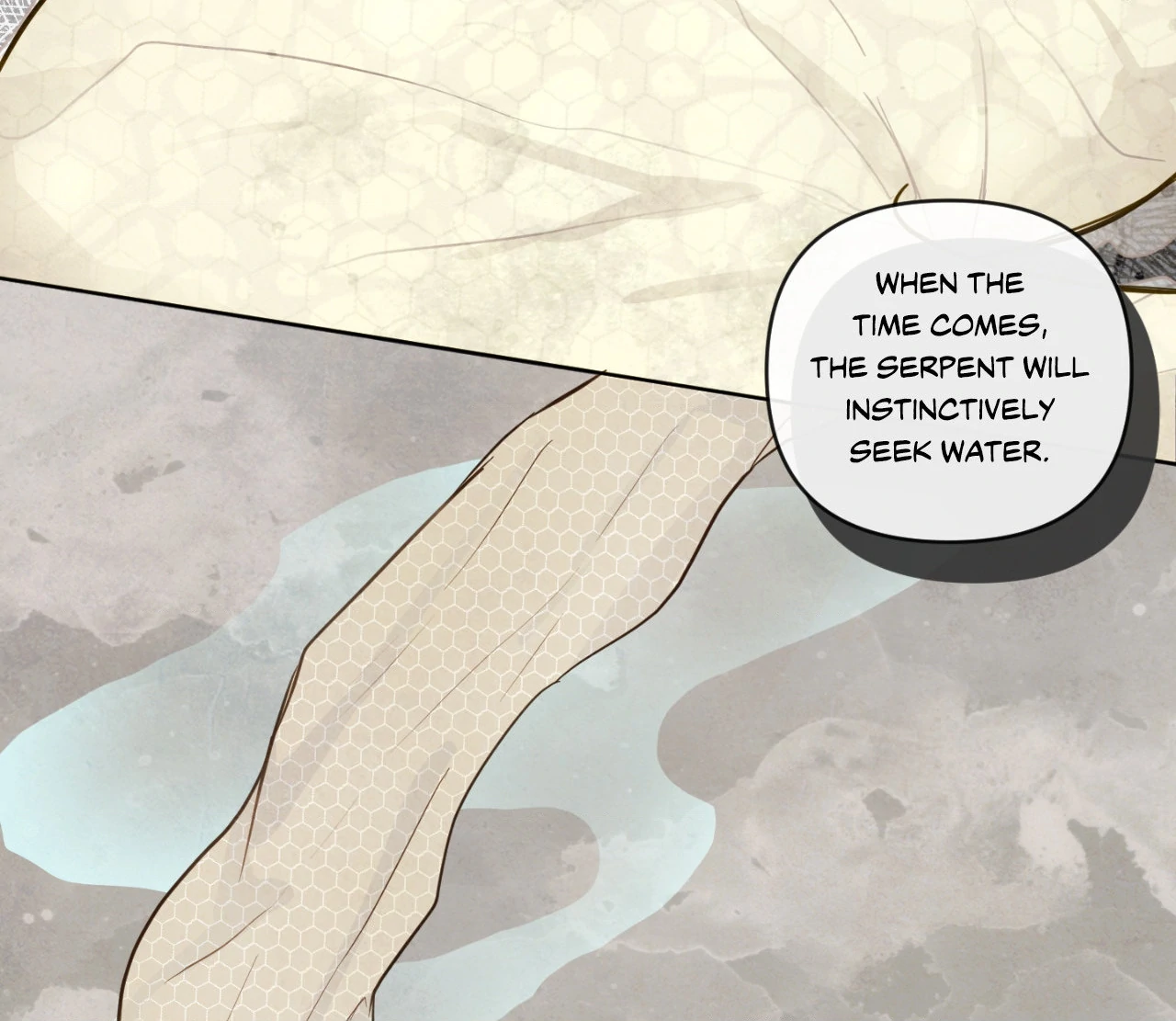 The Sacred Serpent’s Seduction [Official] - Chapter 22 manhwa