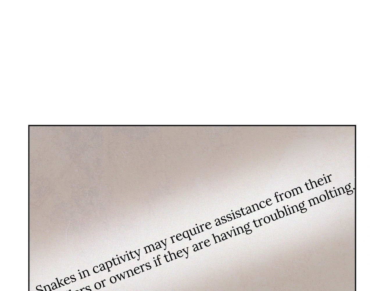 The Sacred Serpent’s Seduction [Official] - Chapter 22 manhwa