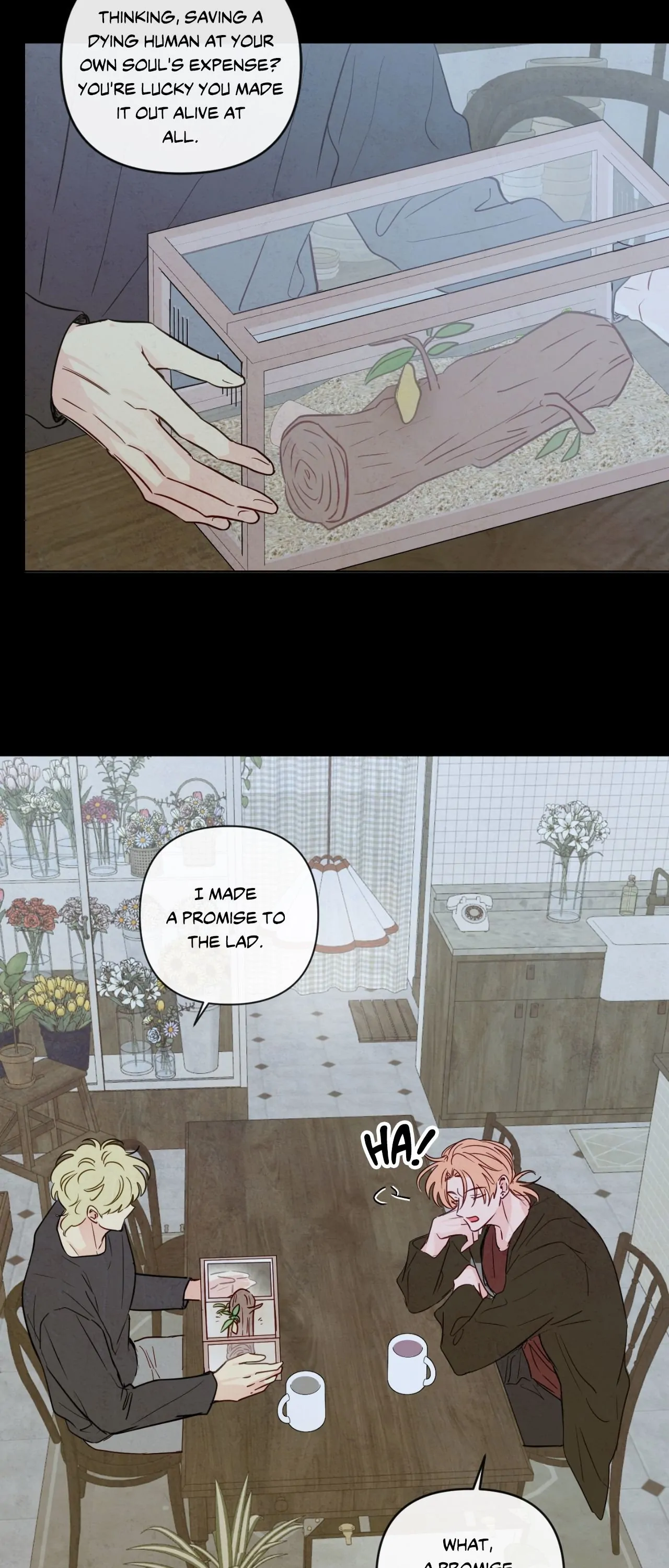 The Sacred Serpent’s Seduction [Official] - Chapter 43 manhwa