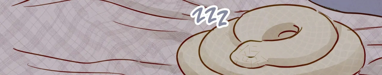 The Sacred Serpent’s Seduction [Official] - Chapter 9 manhwa