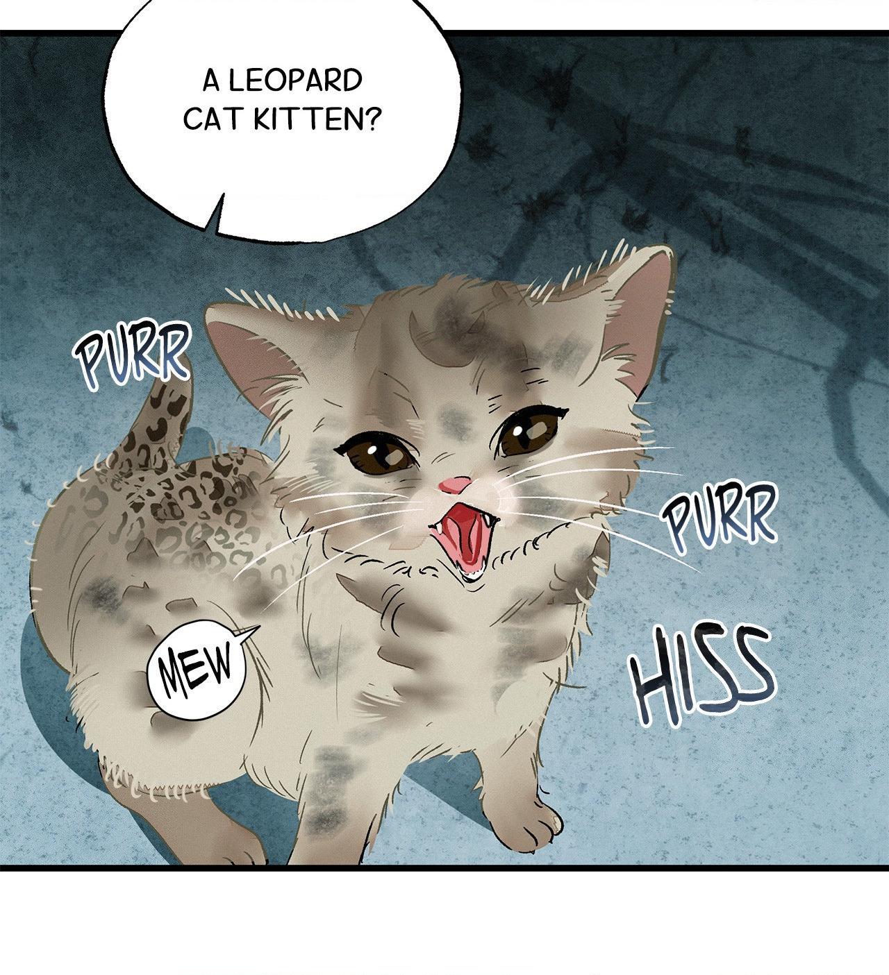 The Thread Never Burned - Chapter 14 manhwa
