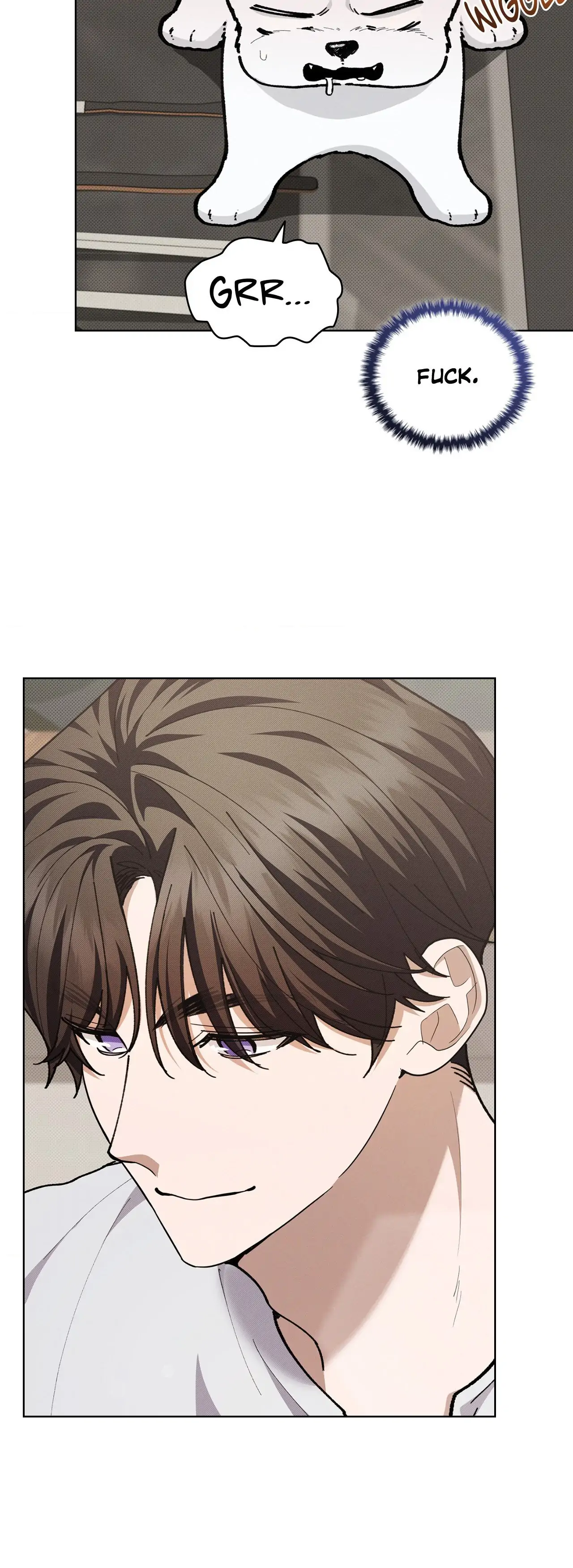 Paws & Claws - Chapter 10 manhwa