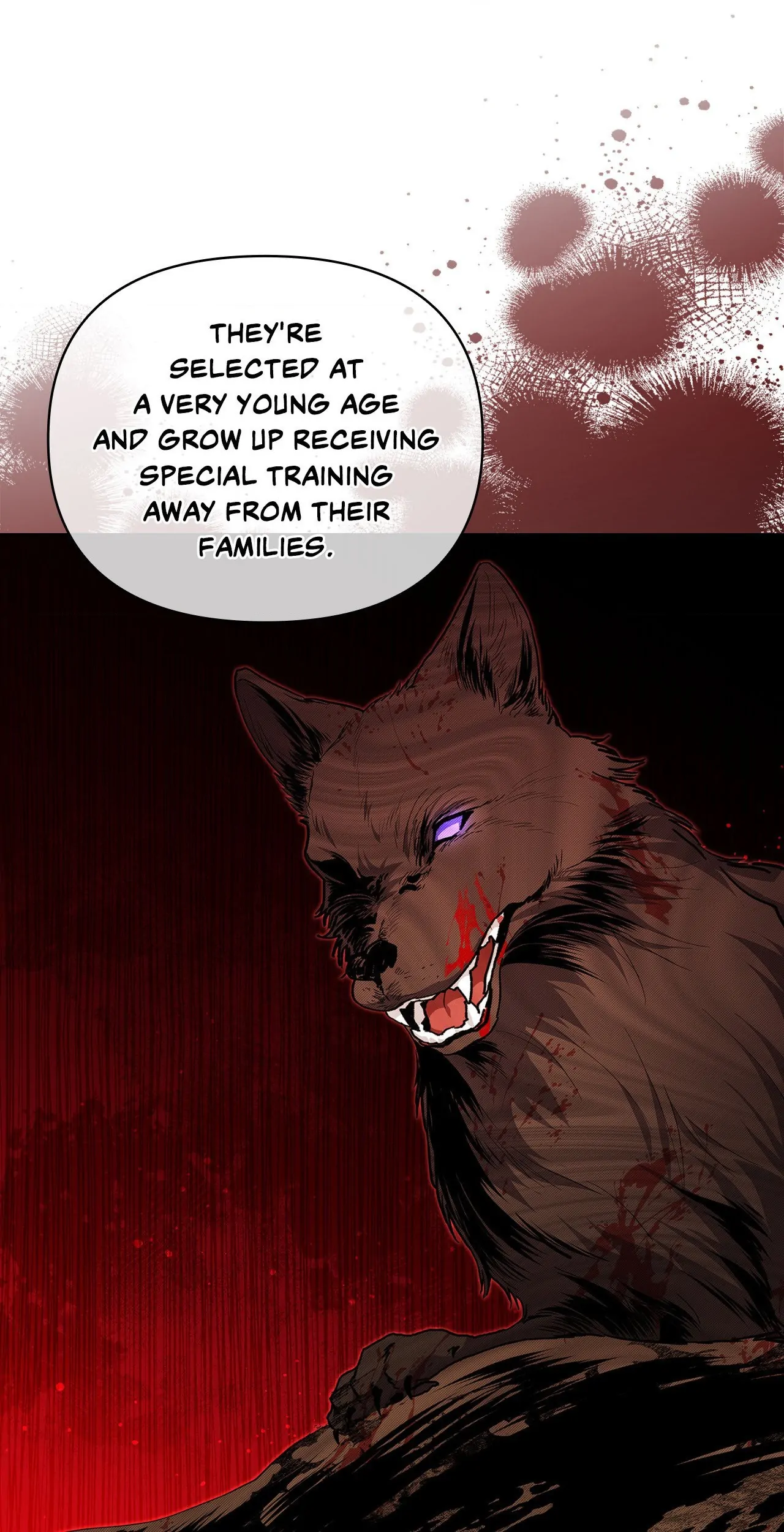 Paws & Claws - Chapter 11 manhwa