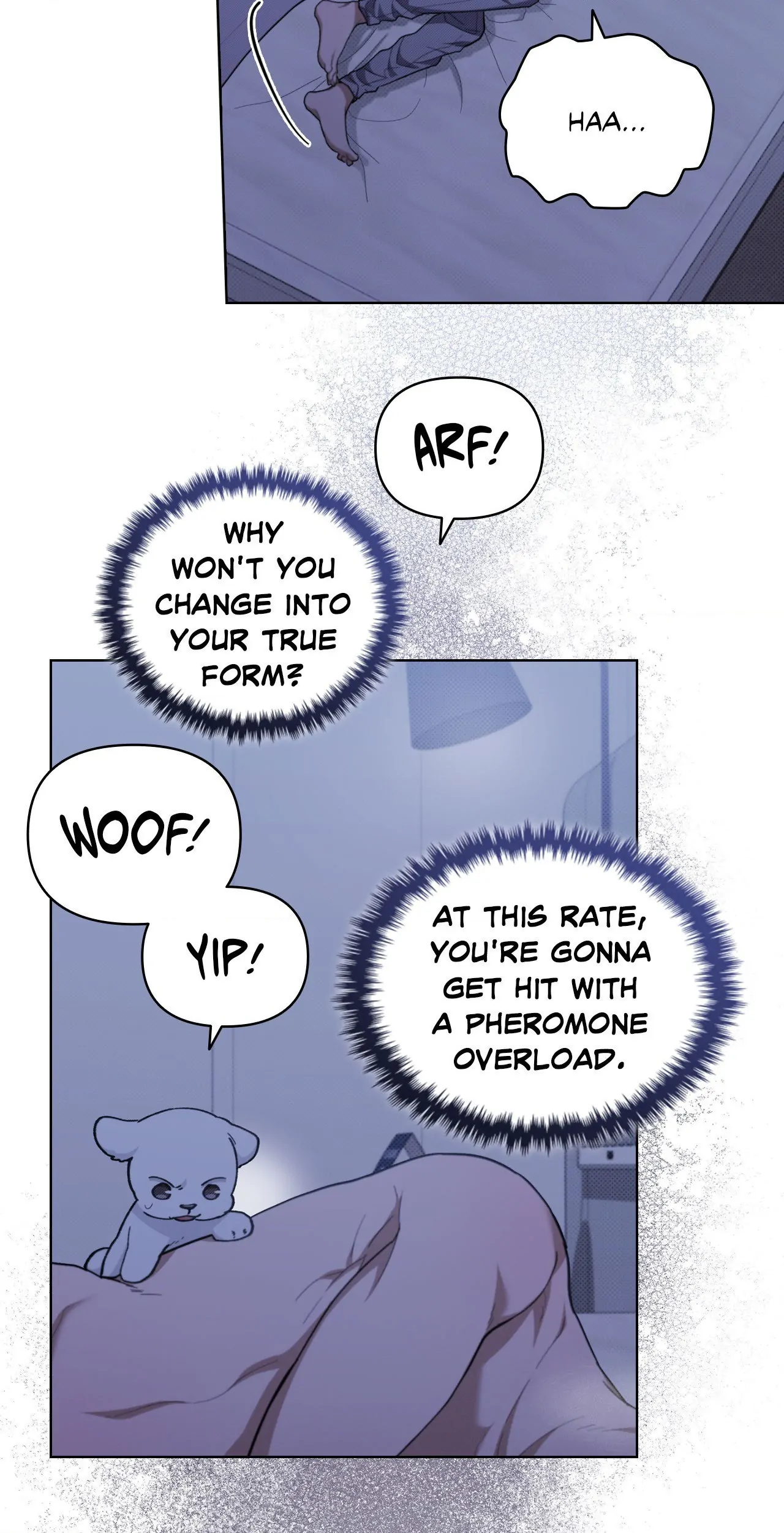 Paws & Claws - Chapter 12 manhwa