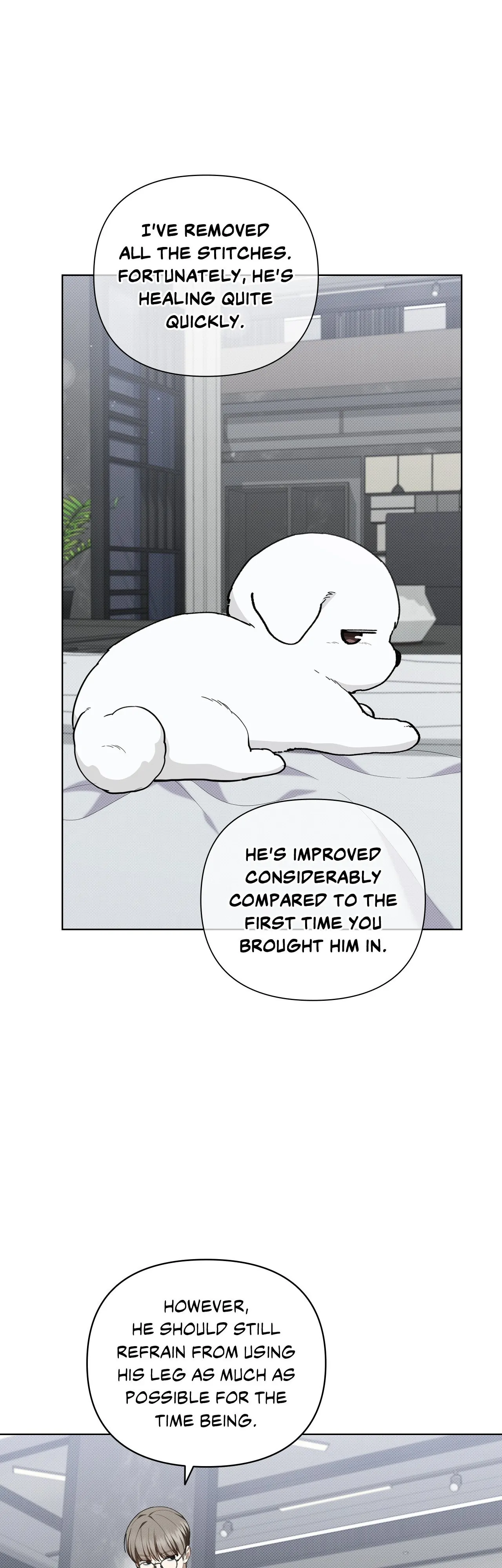 Paws & Claws - Chapter 13 manhwa