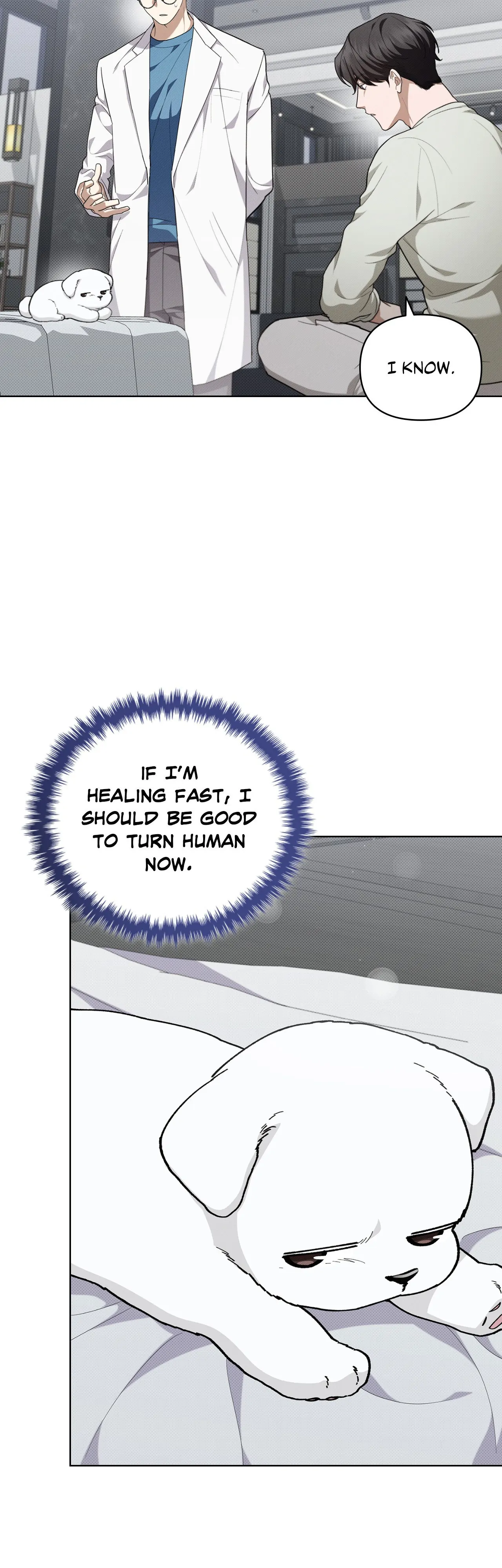 Paws & Claws - Chapter 13 manhwa