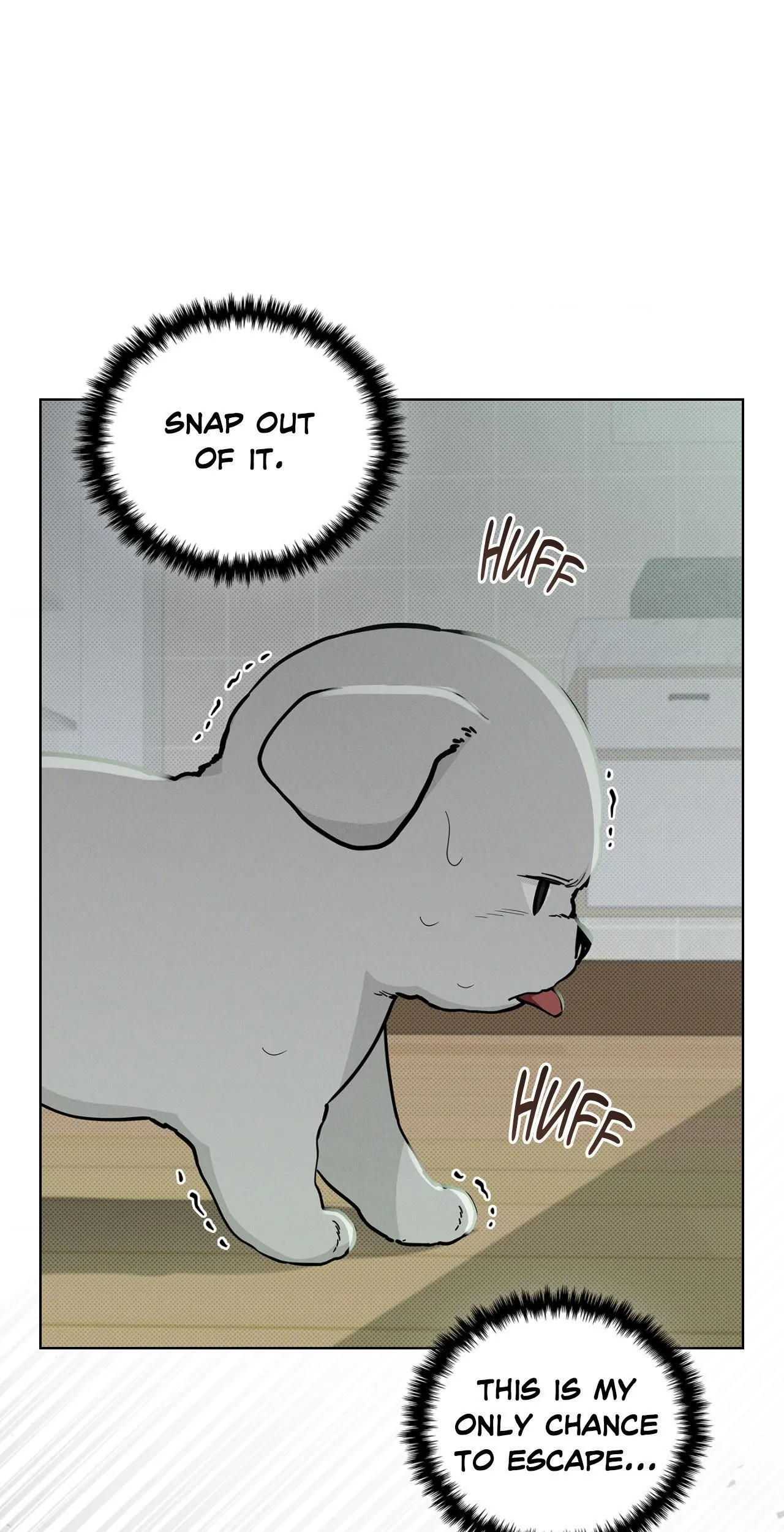 Paws & Claws - Chapter 15 manhwa
