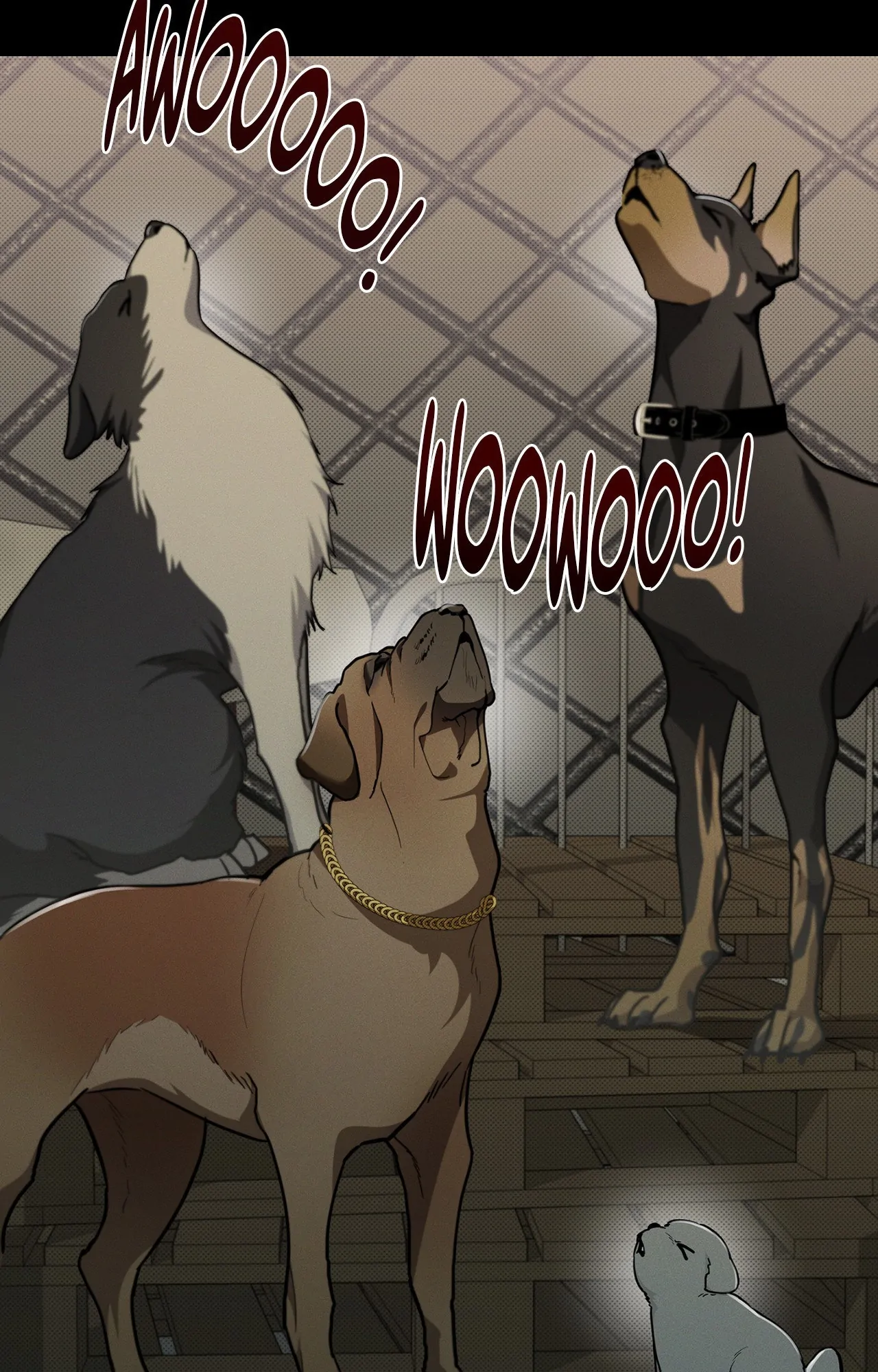 Paws & Claws - Chapter 16 manhwa