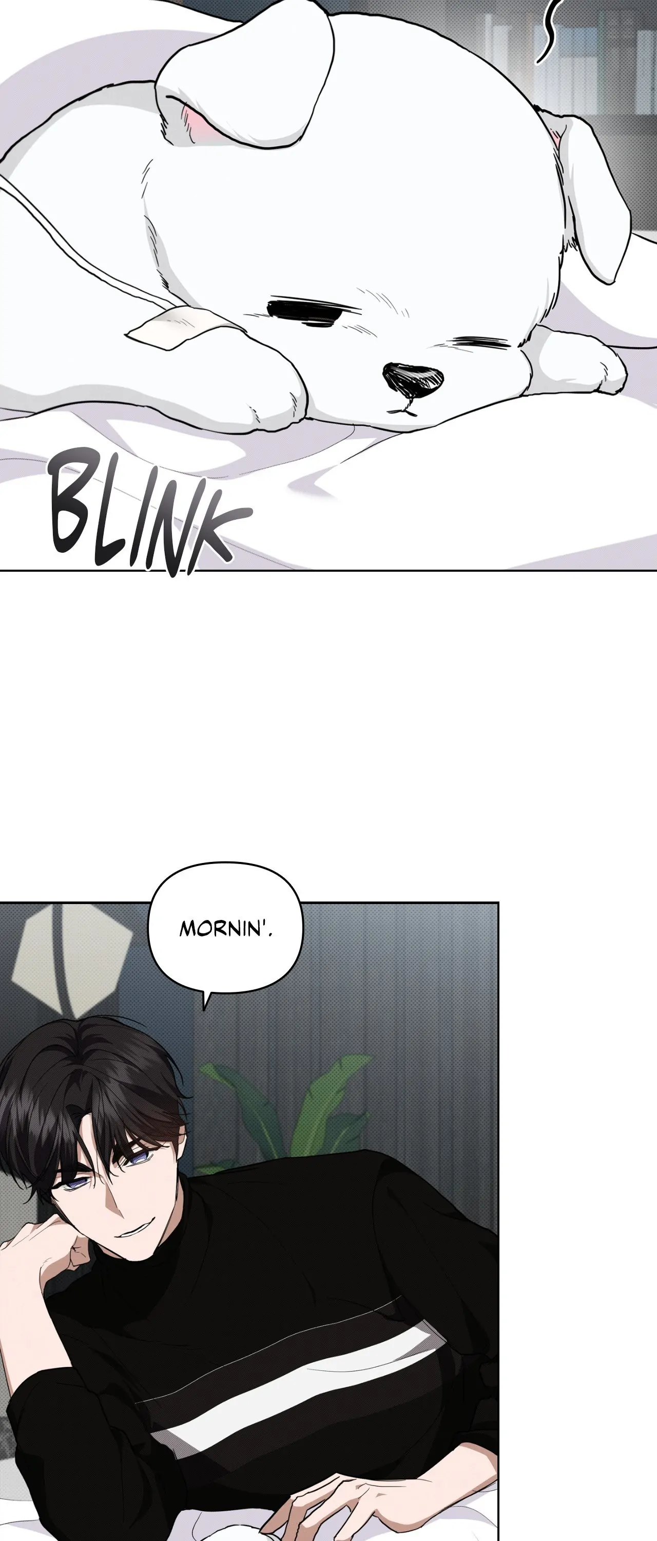 Paws & Claws - Chapter 17 manhwa