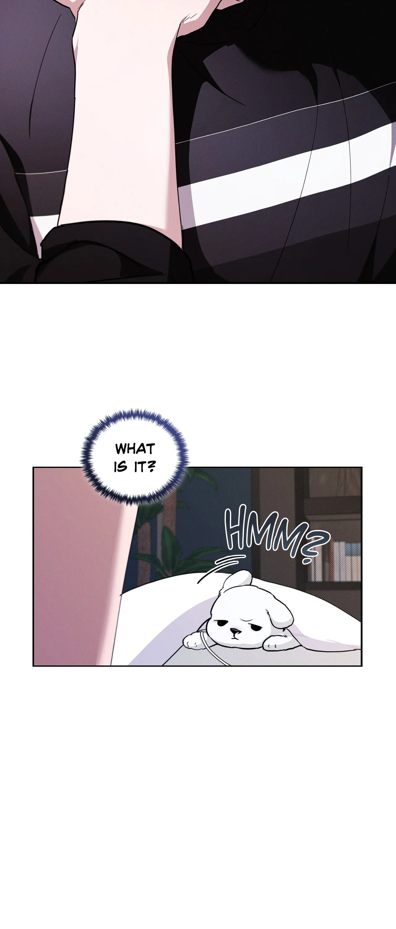 Paws & Claws - Chapter 17 manhwa