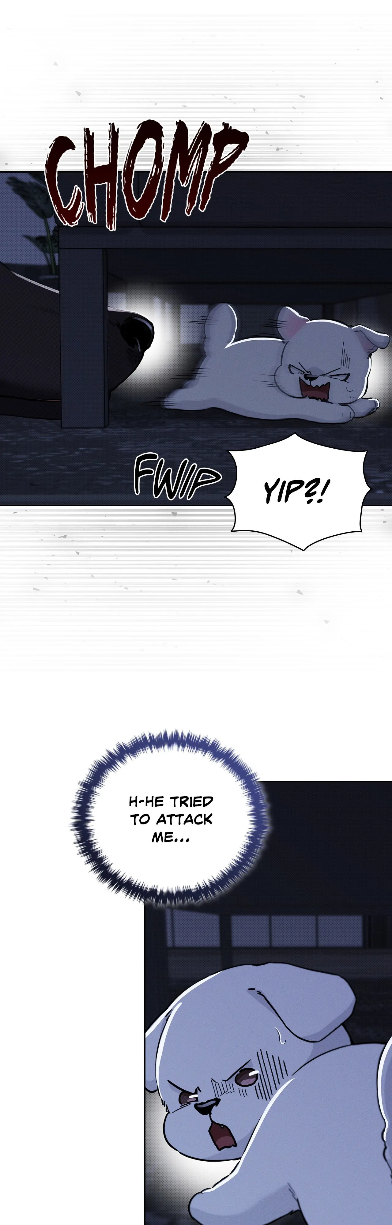 Paws & Claws - Chapter 19 manhwa