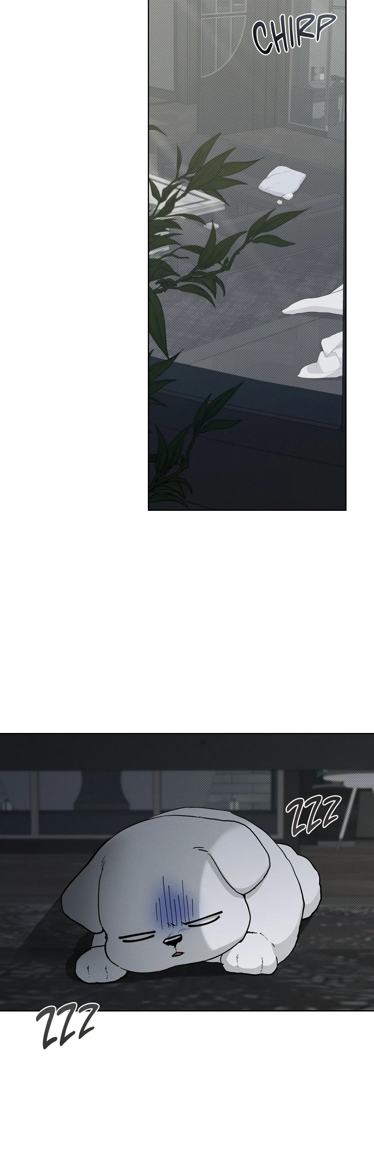 Paws & Claws - Chapter 19 manhwa