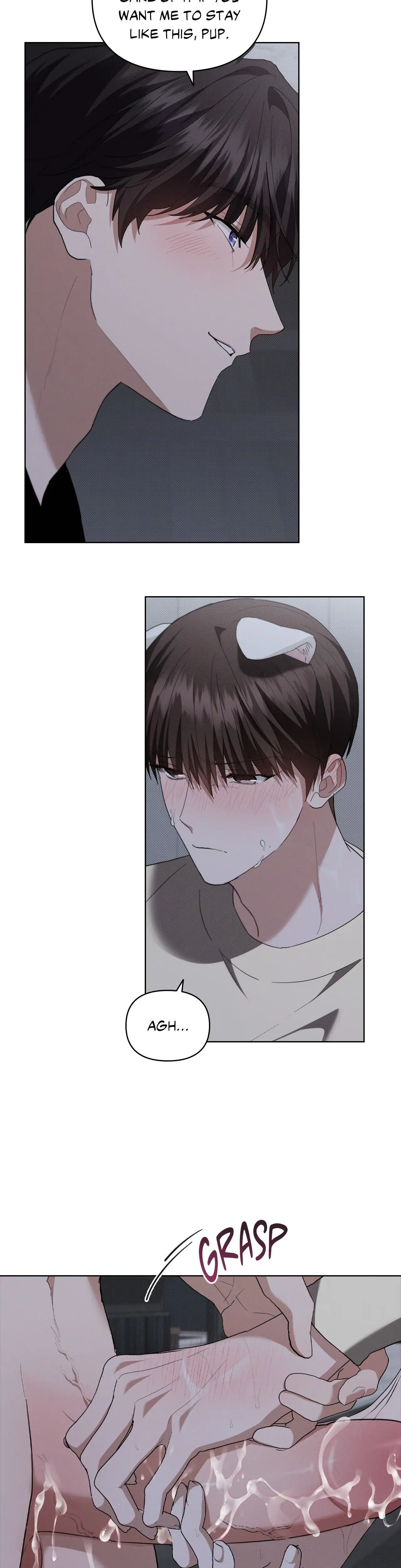 Paws & Claws - Chapter 24 manhwa