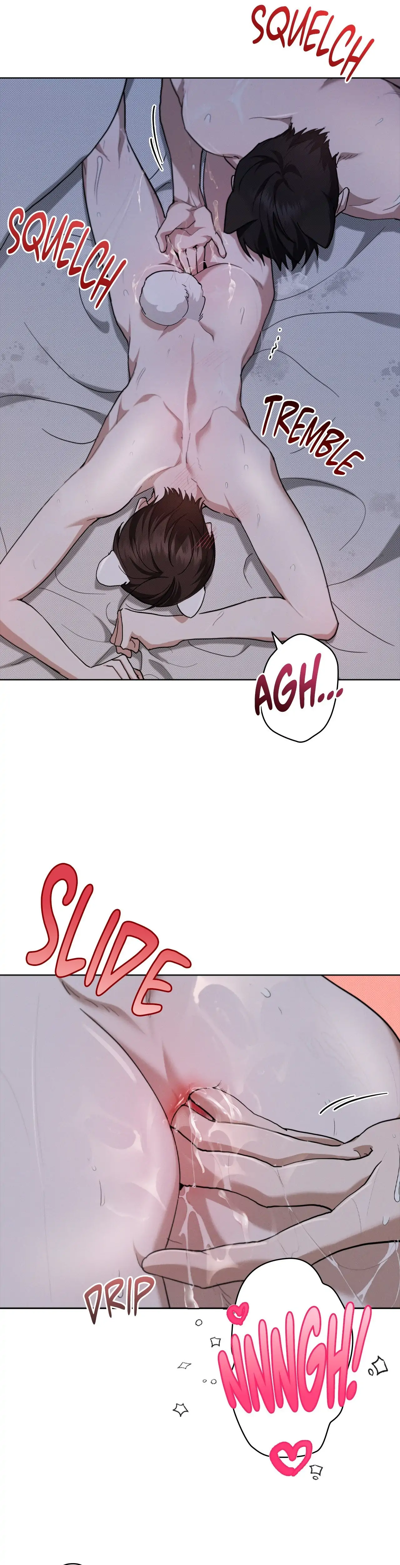 Paws & Claws - Chapter 25 manhwa