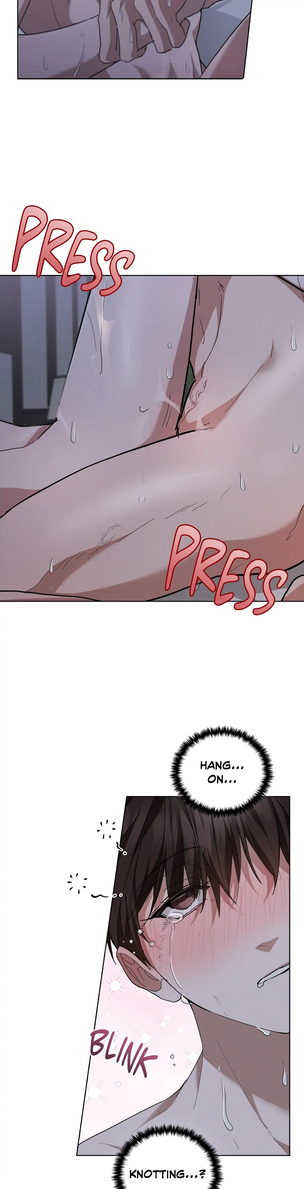Paws & Claws - Chapter 25 manhwa
