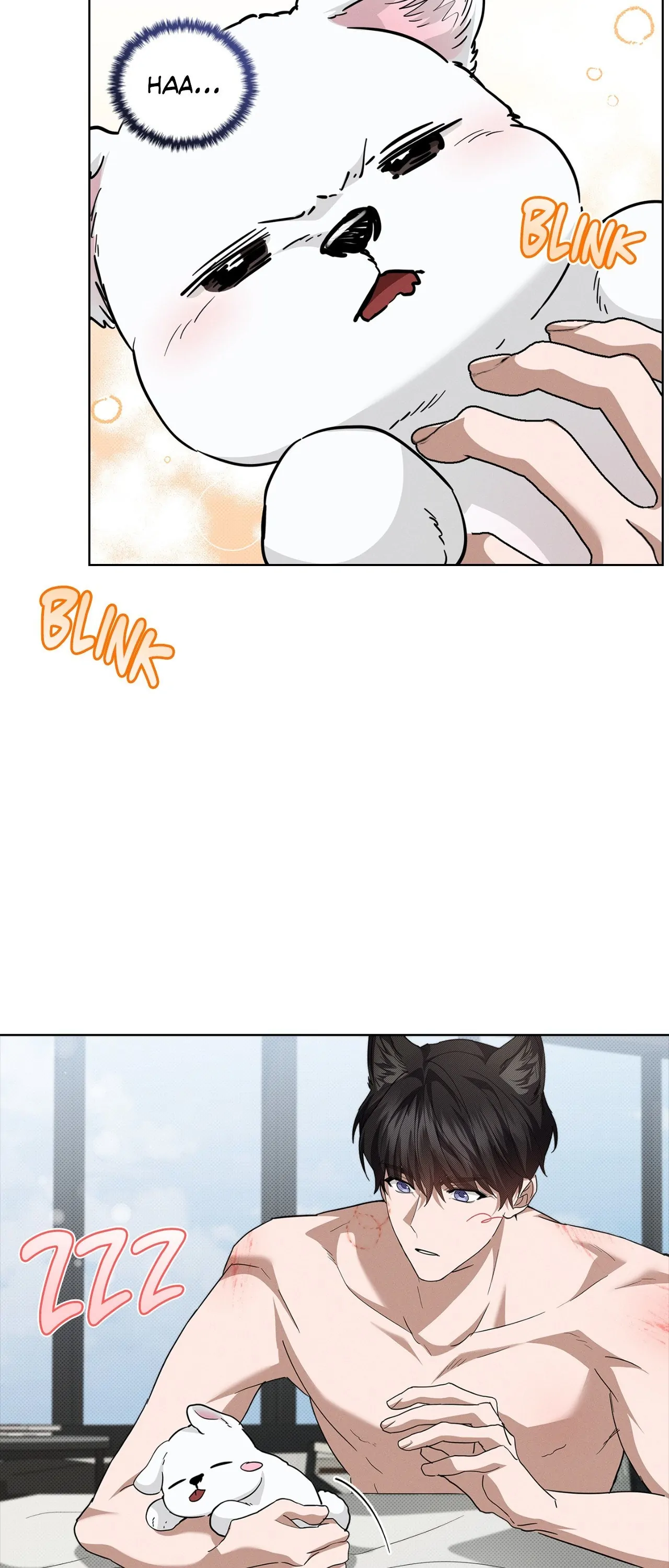 Paws & Claws - Chapter 26 manhwa