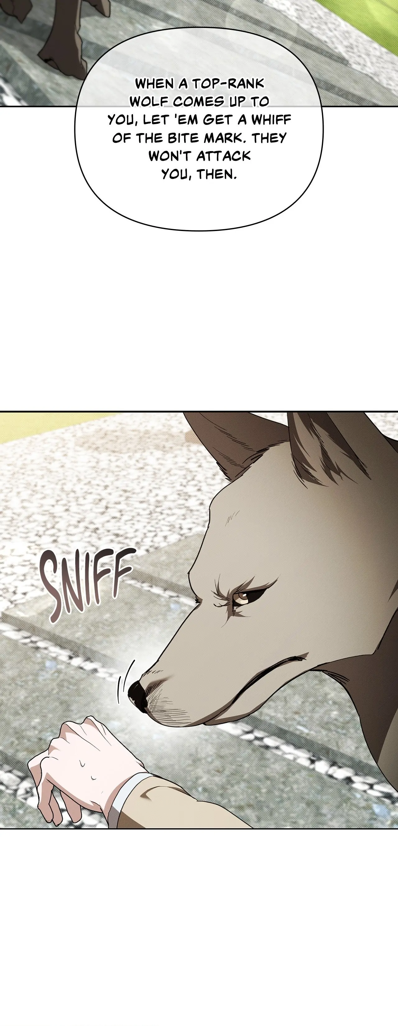 Paws & Claws - Chapter 29 manhwa