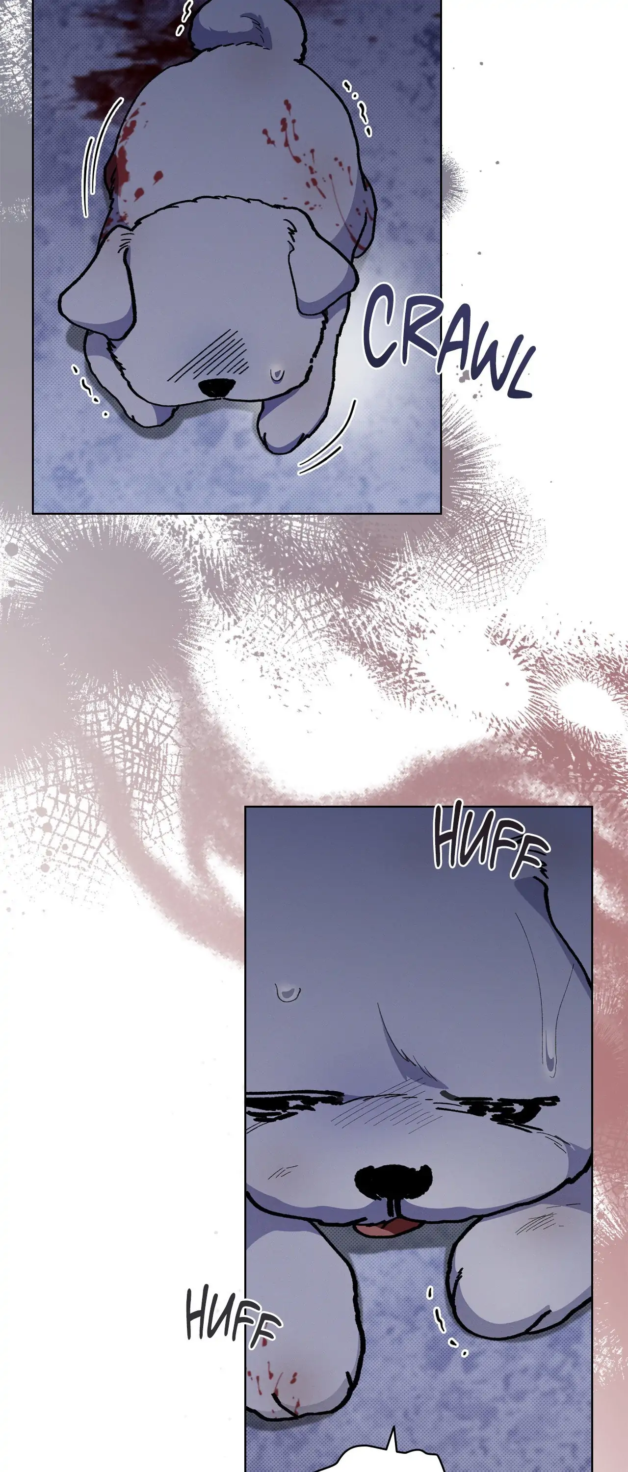 Paws & Claws - Chapter 3 manhwa
