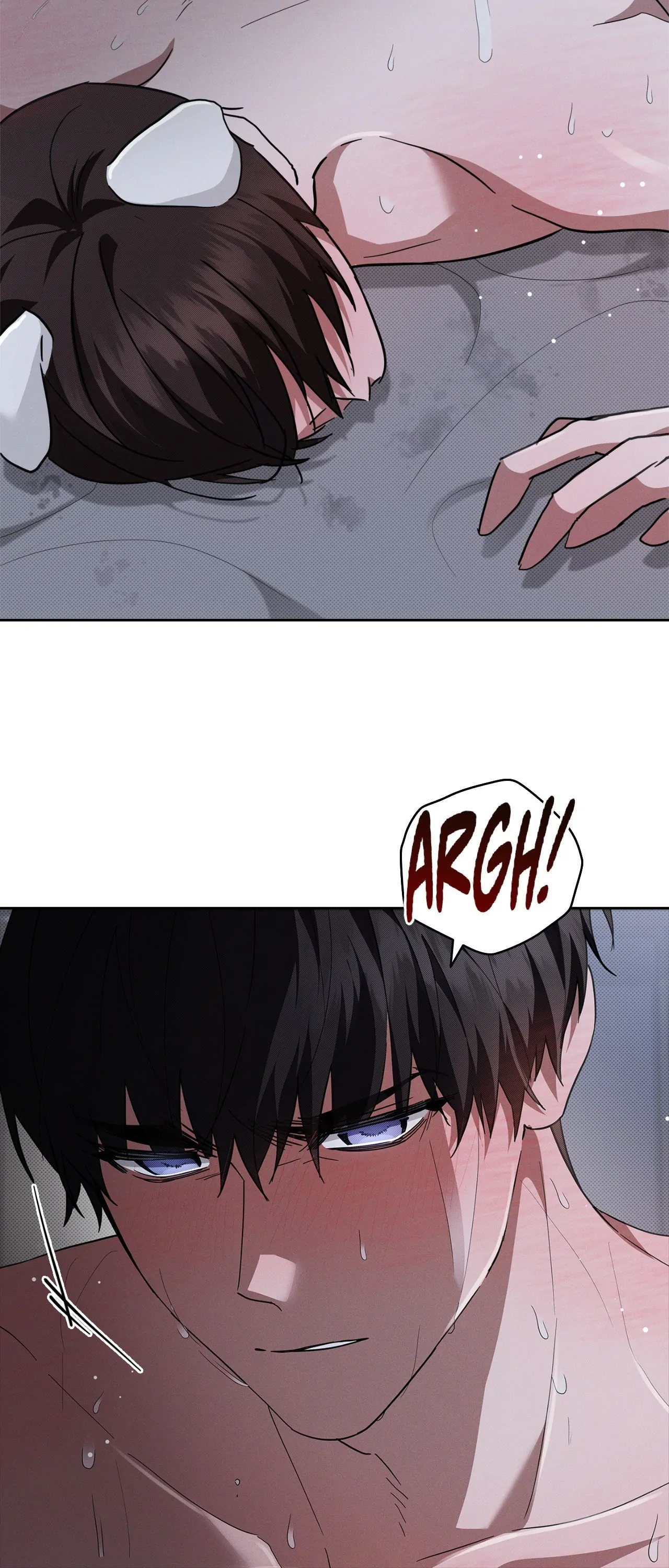 Paws & Claws - Chapter 31 manhwa